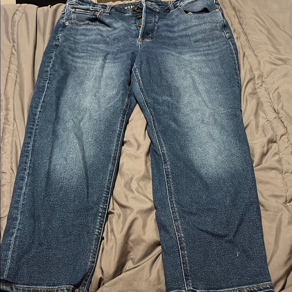 American Eagle Outfitters Blue Denim Shorts